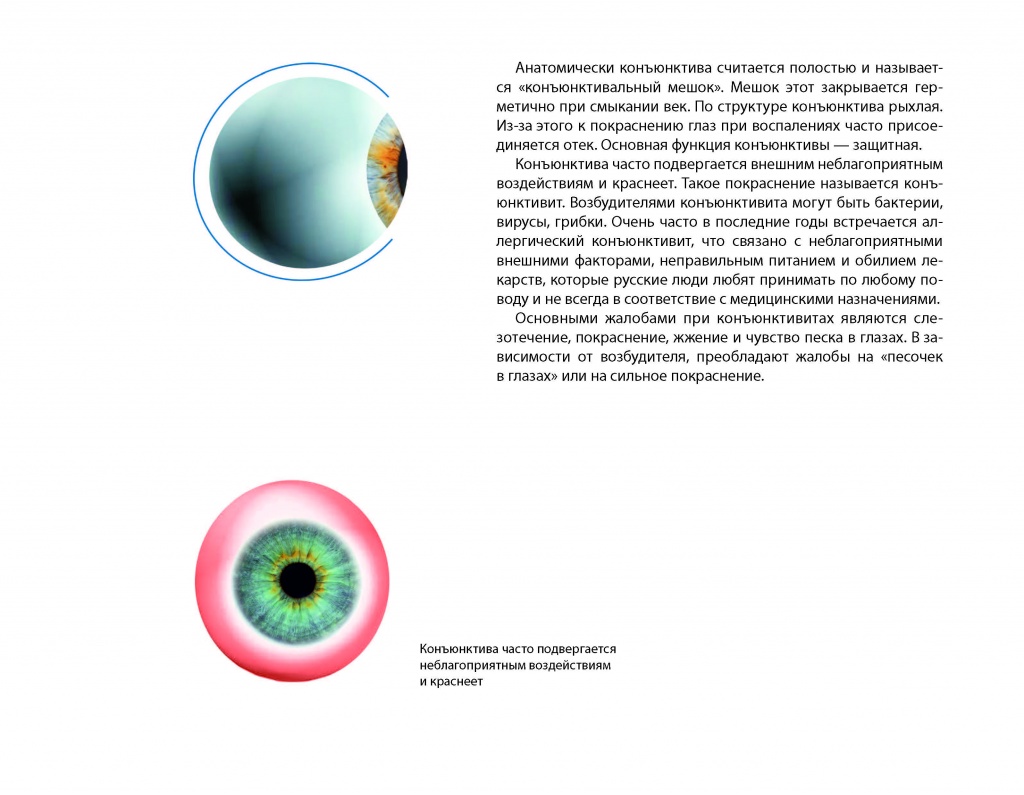 eyes_PRINT_260x202_01-03 (pdf.io)_Страница_2.jpg